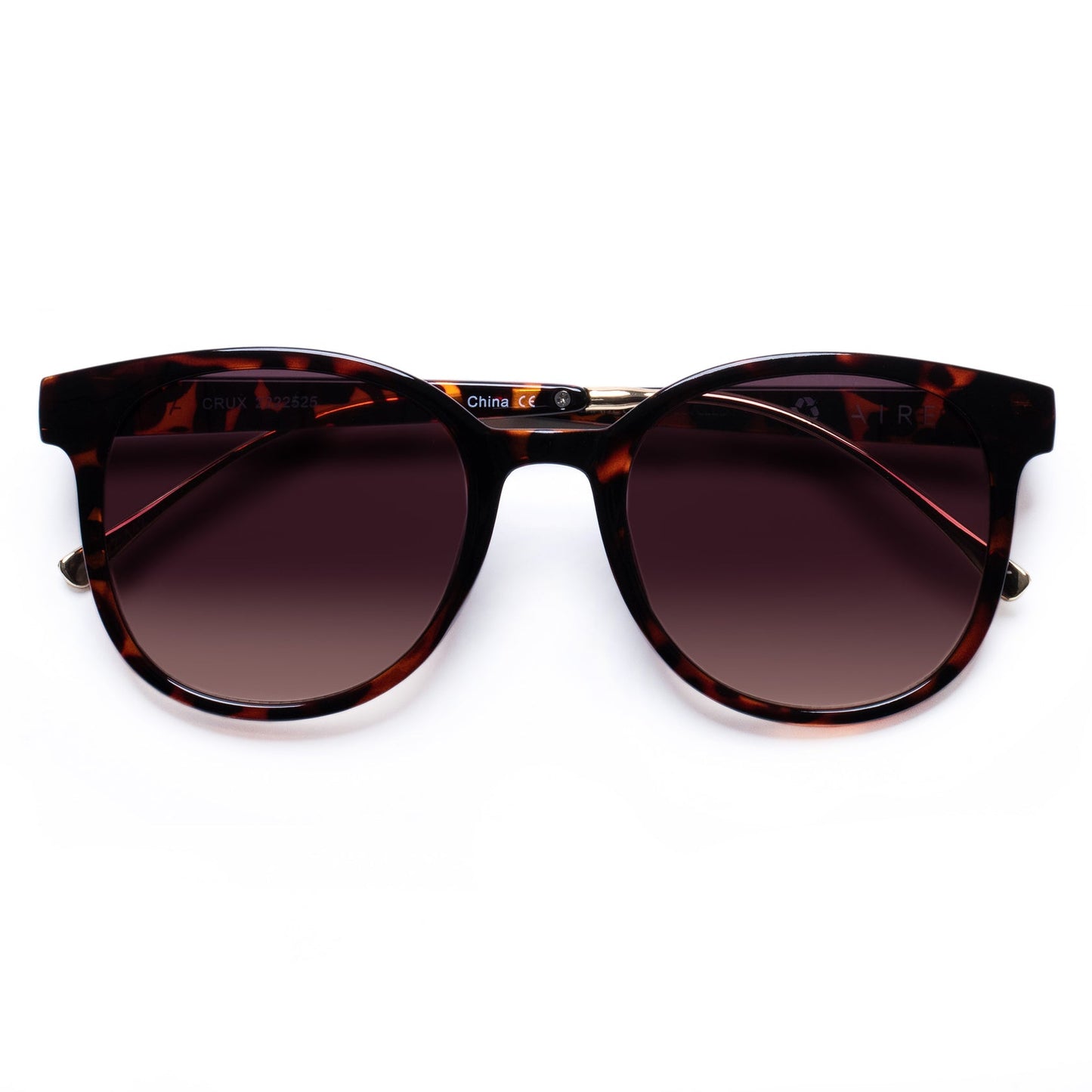 CRUX SUNGLASSES / DARK TORT