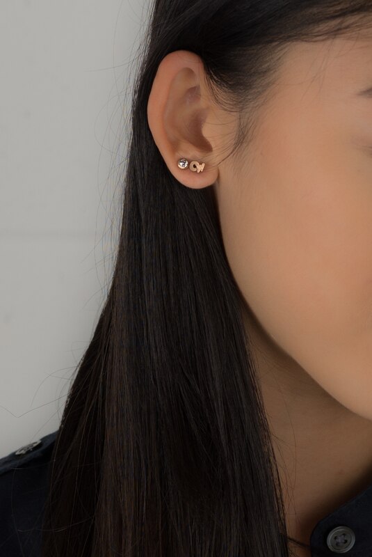 CAPRICORN Earrings | December 22 - January 19
