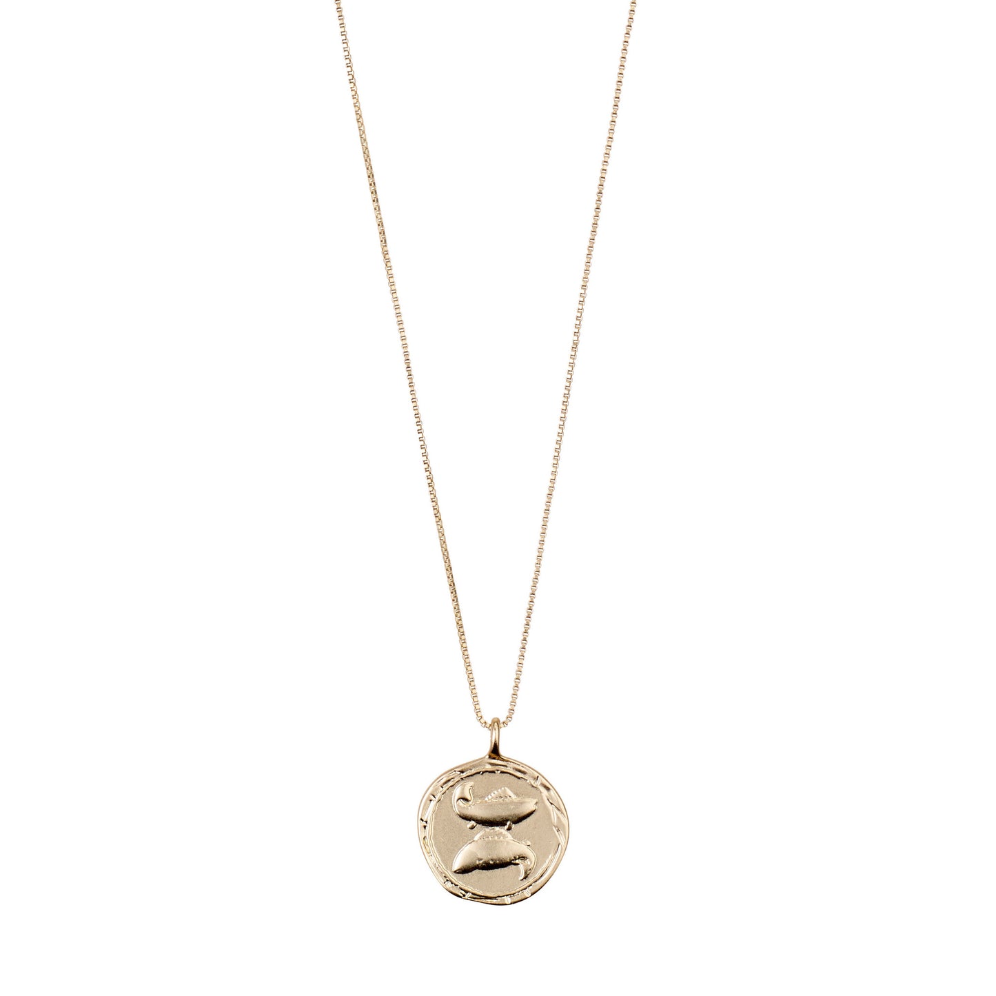 PISCES- Pilgrim Necklace | February 19 - March 20